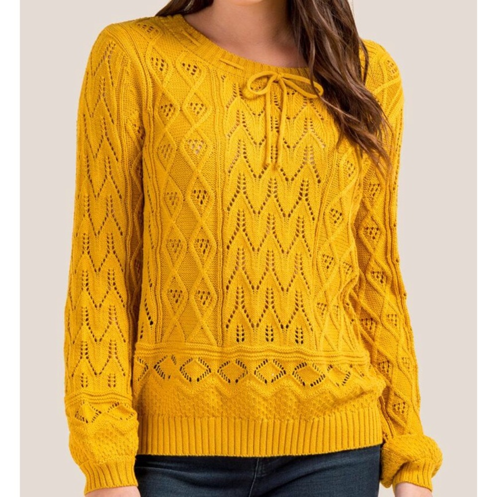 NWT Harriet Pointelle Balloon Sleeve Sweater
